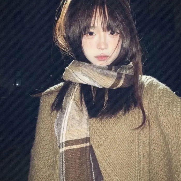双鱼陨石