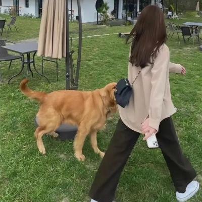 山上的西蒙